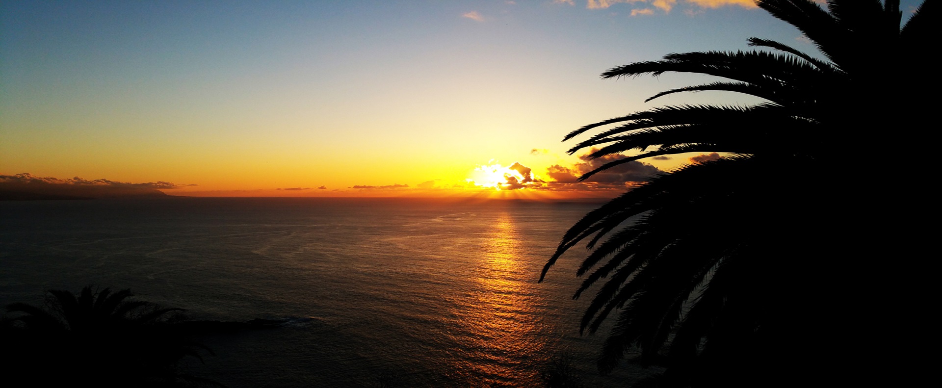 OASIS Rent a car Tenerife