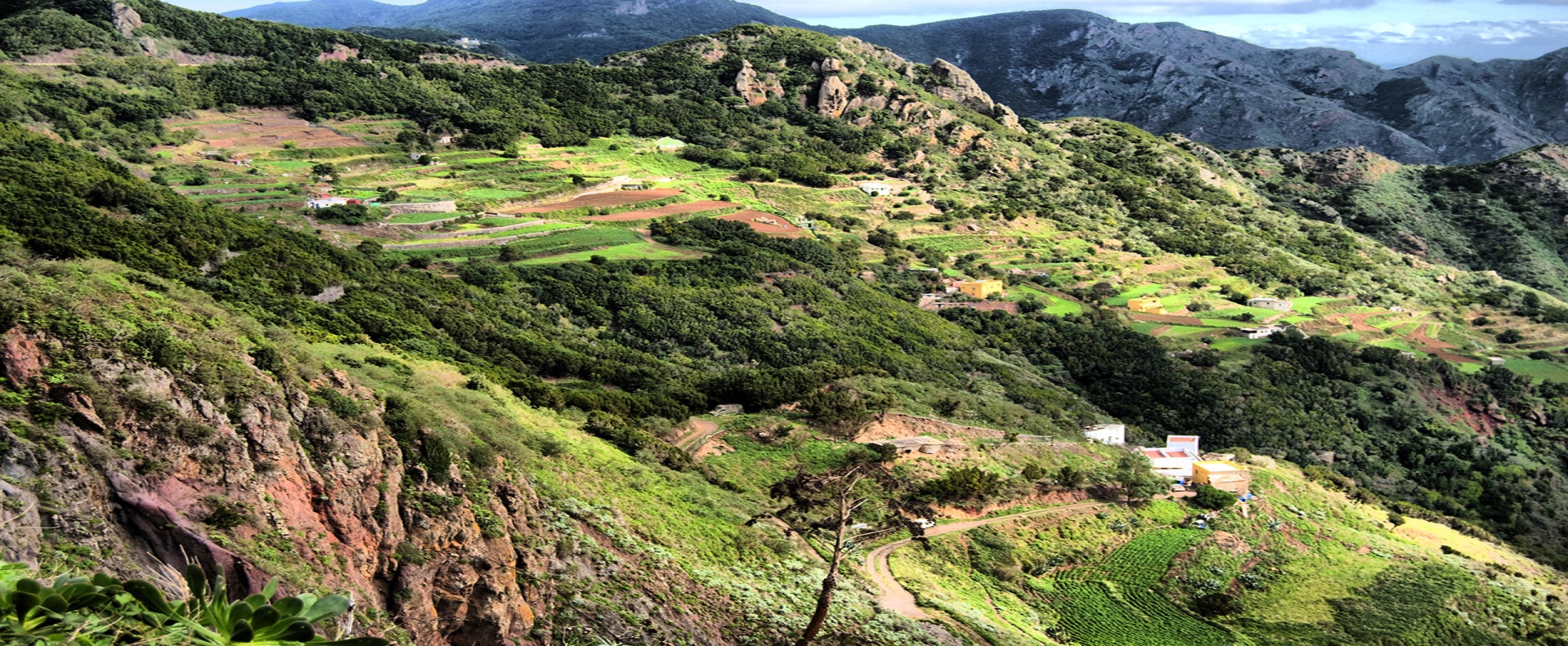 OASIS Rent a car Tenerife